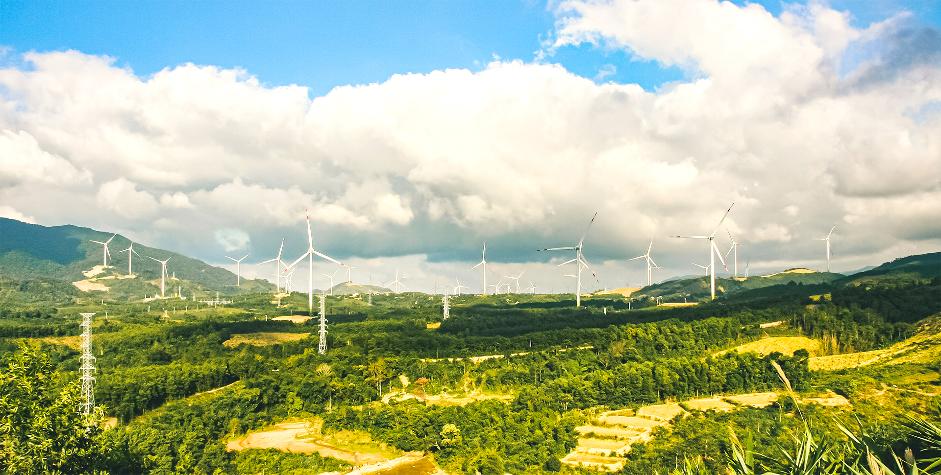 SCI Quang Tri Joint Stock Company